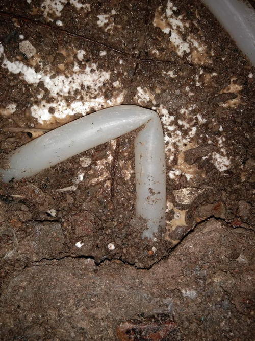 新泰堵点精准查找